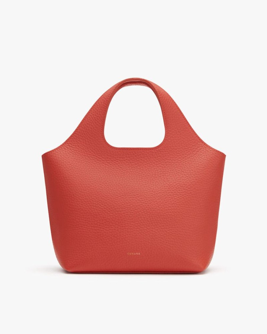 Bags Cuyana | Mini System Tote Dark Coral